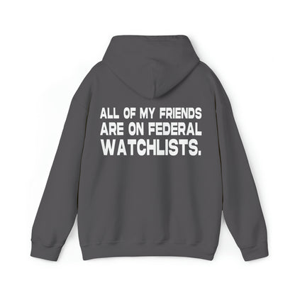 All of my Friends are on Federal Watchlists - Cotton Hoodie