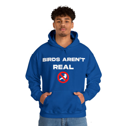 Birds Aren't Real - Cotton Hoodie