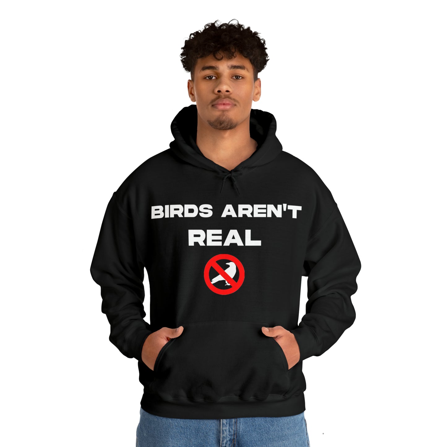 Birds Aren't Real - Cotton Hoodie