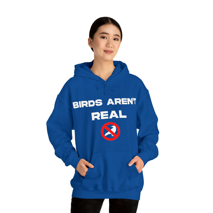 Birds Aren't Real - Cotton Hoodie