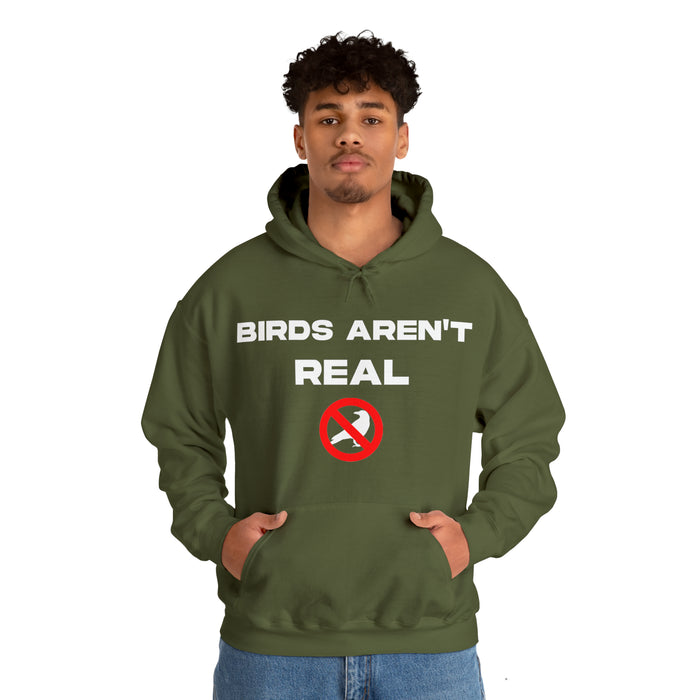 Birds Aren't Real - Cotton Hoodie