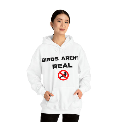 Birds Aren't Real - Cotton Hoodie