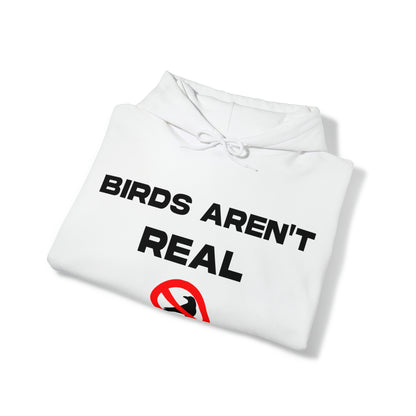 Birds Aren't Real - Cotton Hoodie