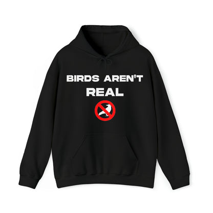 Birds Aren't Real - Cotton Hoodie