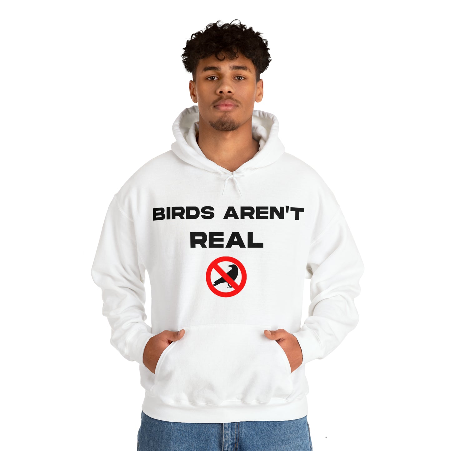 Birds Aren't Real - Cotton Hoodie